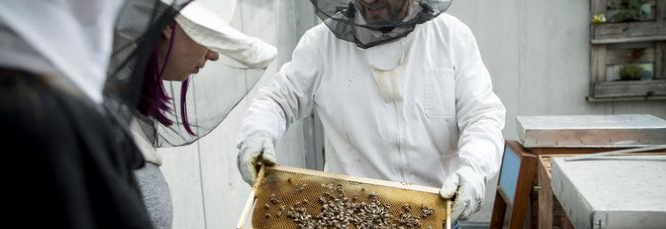 Prikaz dela v društvu