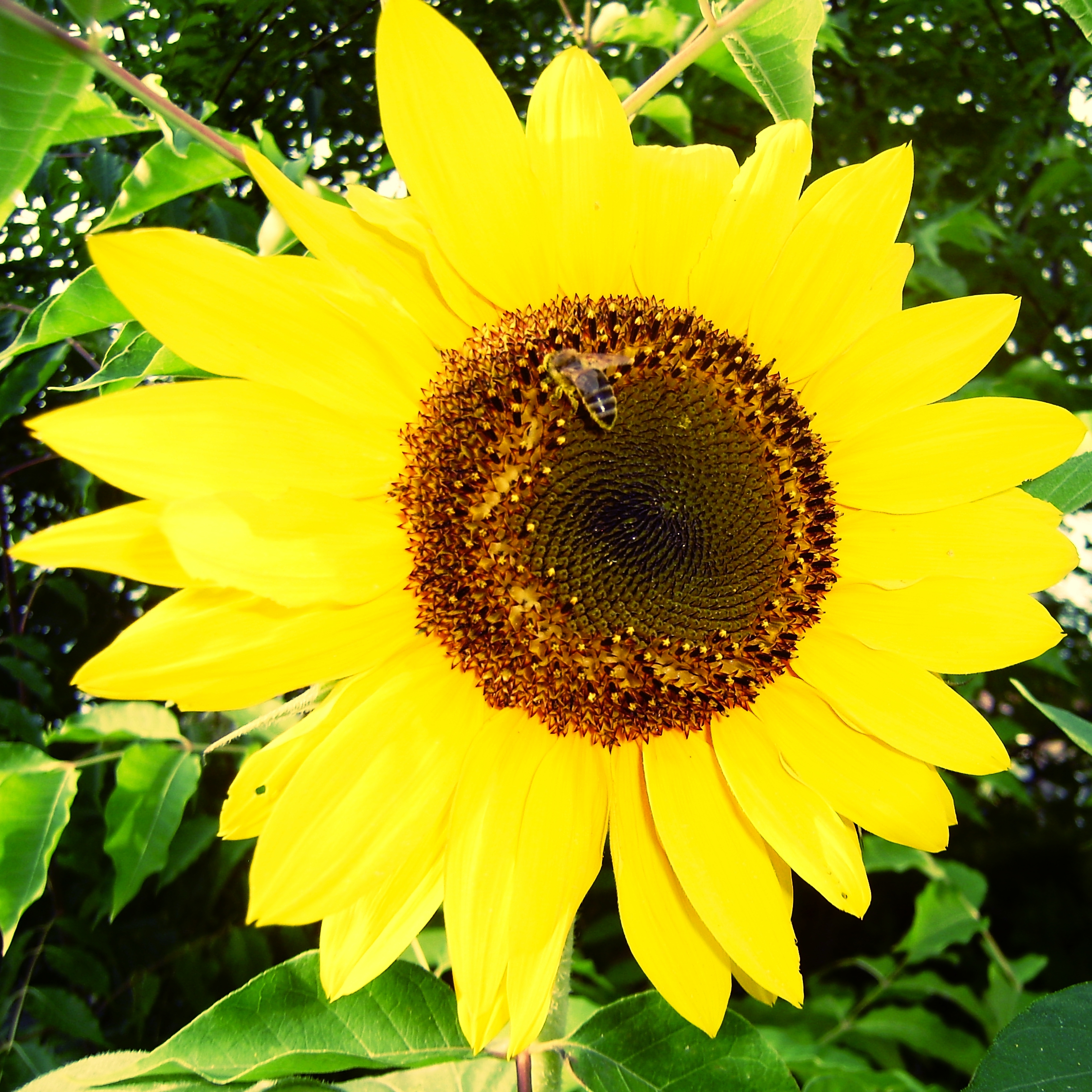 F-P8020785_8marec22 (7mt6do-F-P8020785_8marec22.jpg)