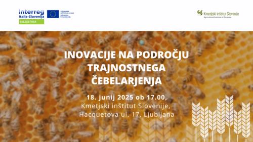 9caivo-Bee2Gether-delavnica1862025.jpg