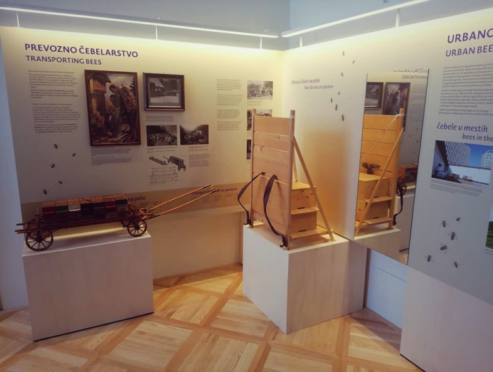 O prevoznem in urbanem čebelarstvu