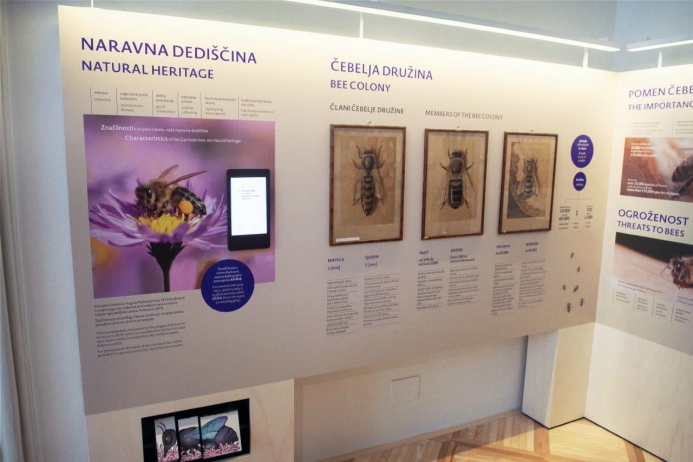 V celoti prenovljena razstava. Foto: Muzeji radovlji&scaron;ke občine (MRO)