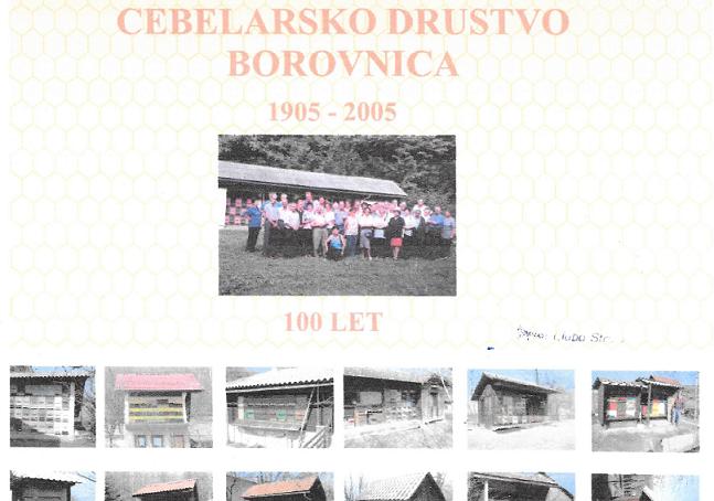 Iz fotoevidence čebelnjakov, ki jo je pripravil Ljubo Struna