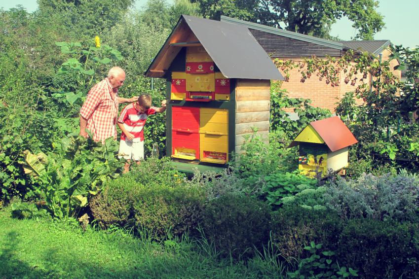 Ljubo Struna svoje vnuke vzgaja v mlade urbane čebelarje